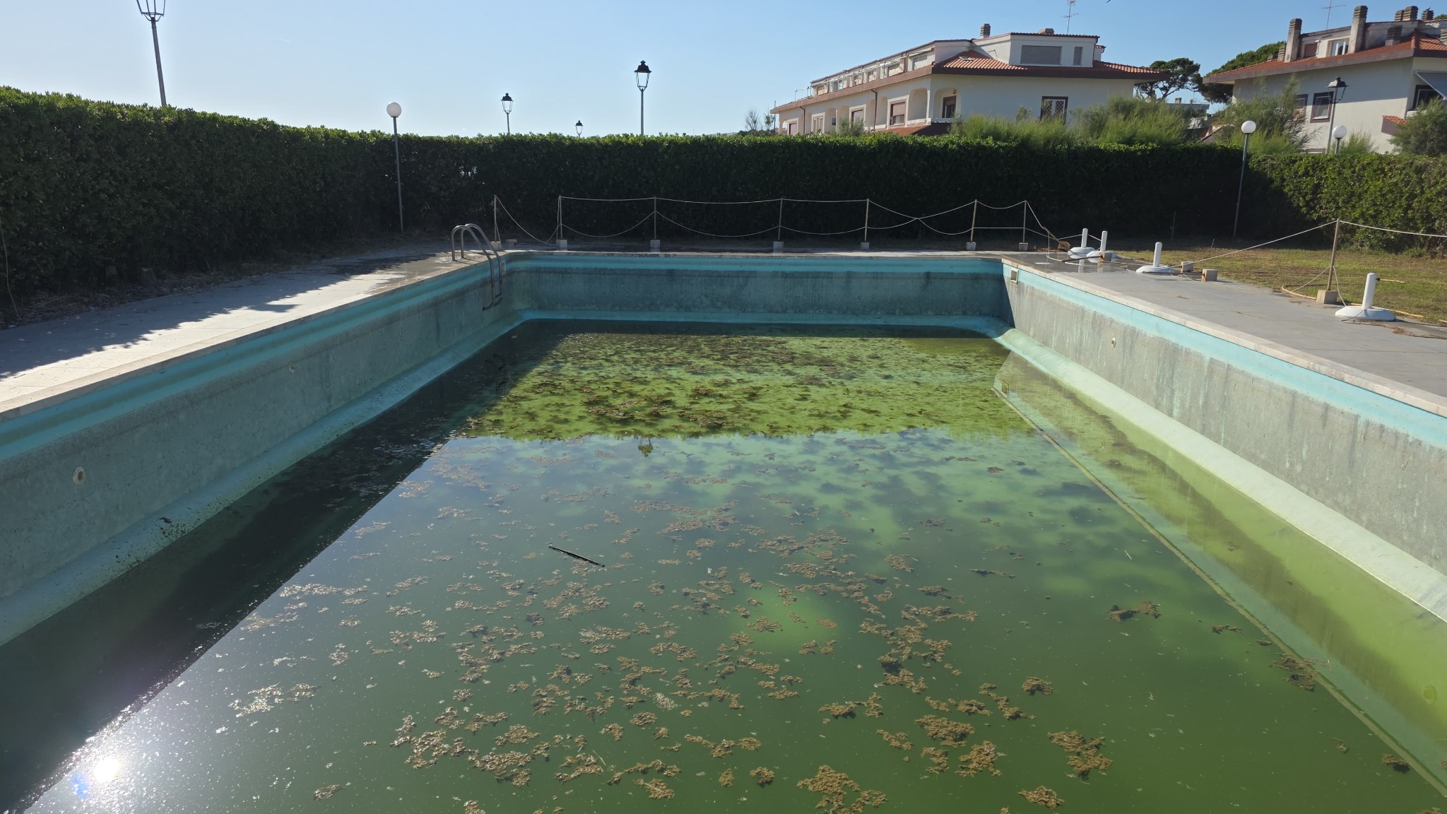 Piscina da preparare, con acqua residua e impurità nella vasca